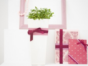 知ってますか？ネットオークションの魅力