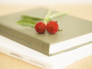 文章の上達におすすめの小説/エッセイ100選