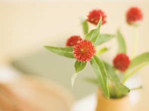 お腹のトラブル 〜 過敏性腸症候群について