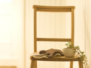 写真に撮って収納