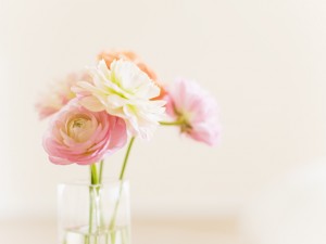 あかちゃんの嘔吐と対処法