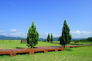 ウオーキングのすすめ