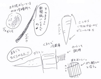 根野菜の収納法イラスト