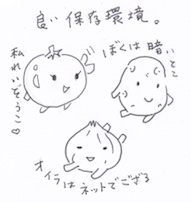 野菜の保存環境