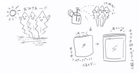 葉を上にして野菜を収納