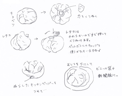 新聞紙に包んで野菜を収納