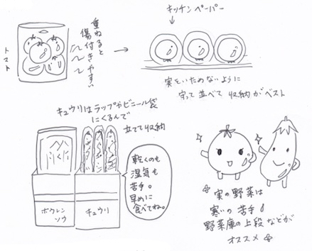 実の野菜の収納法イラスト