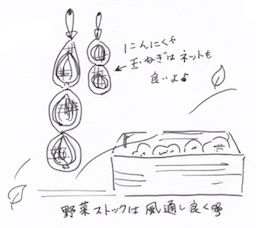 野菜ストッカーは通気を重視