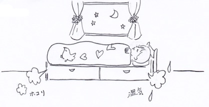 ベッドの湿気・ホコリ・カビを防ぐために収納グッズを工夫しよう