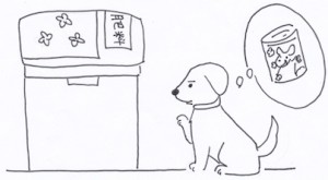 庭の収納はここに気をつけよう!