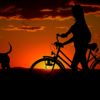 夕暮れの女性と自転車